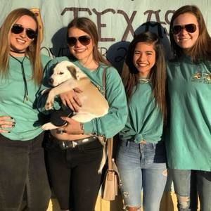 Meet your Posher, Elizabeth